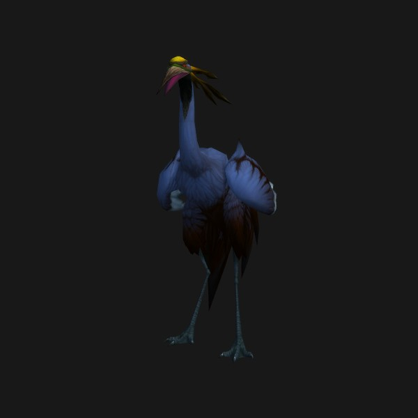 Azure Crane Chick