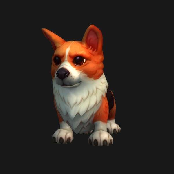 Corgi Pup