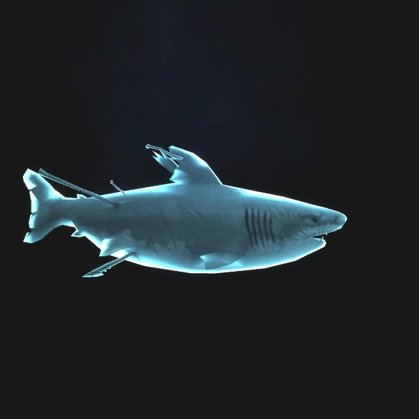 Ghost Shark