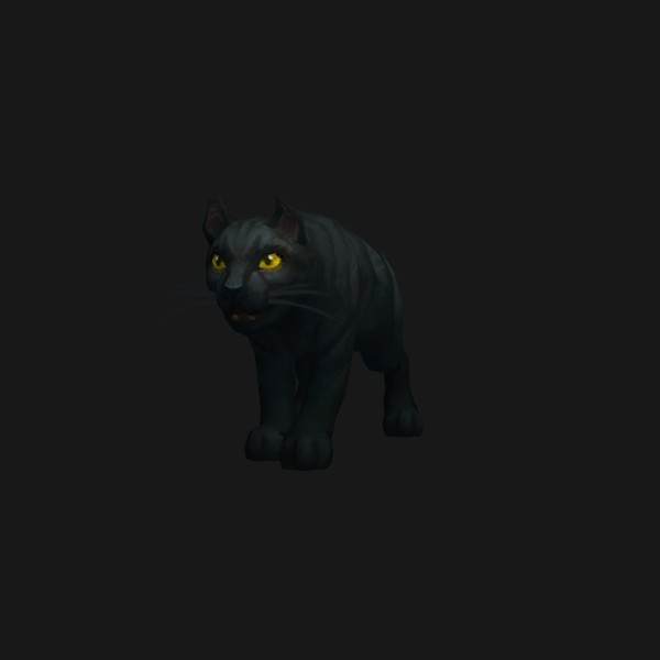 Bombay Cat