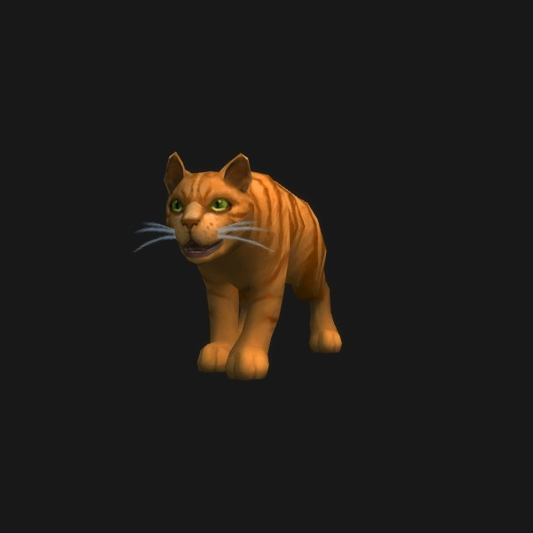 Orange Tabby Cat