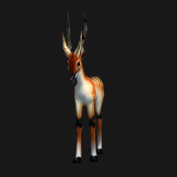 Gazelle Fawn