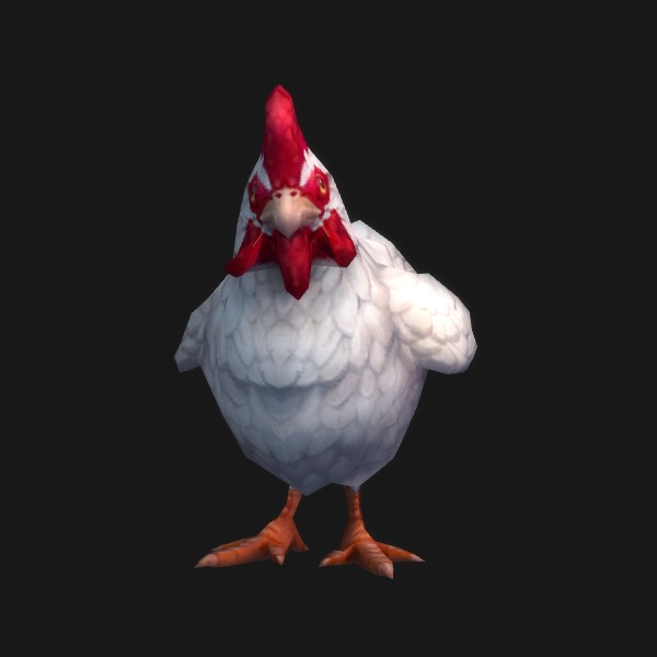 Chicken