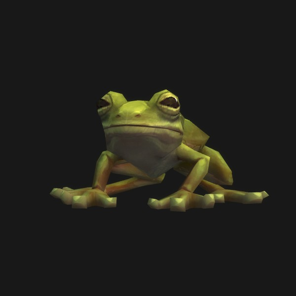 Tree Frog