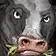 Pygmy Cow Icon