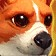 Corgi Pup Icon