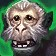 Mining Monkey Icon