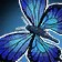 Shore Butterfly Icon