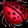 Fire Beetle Icon