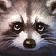 Masked Tanuki Icon